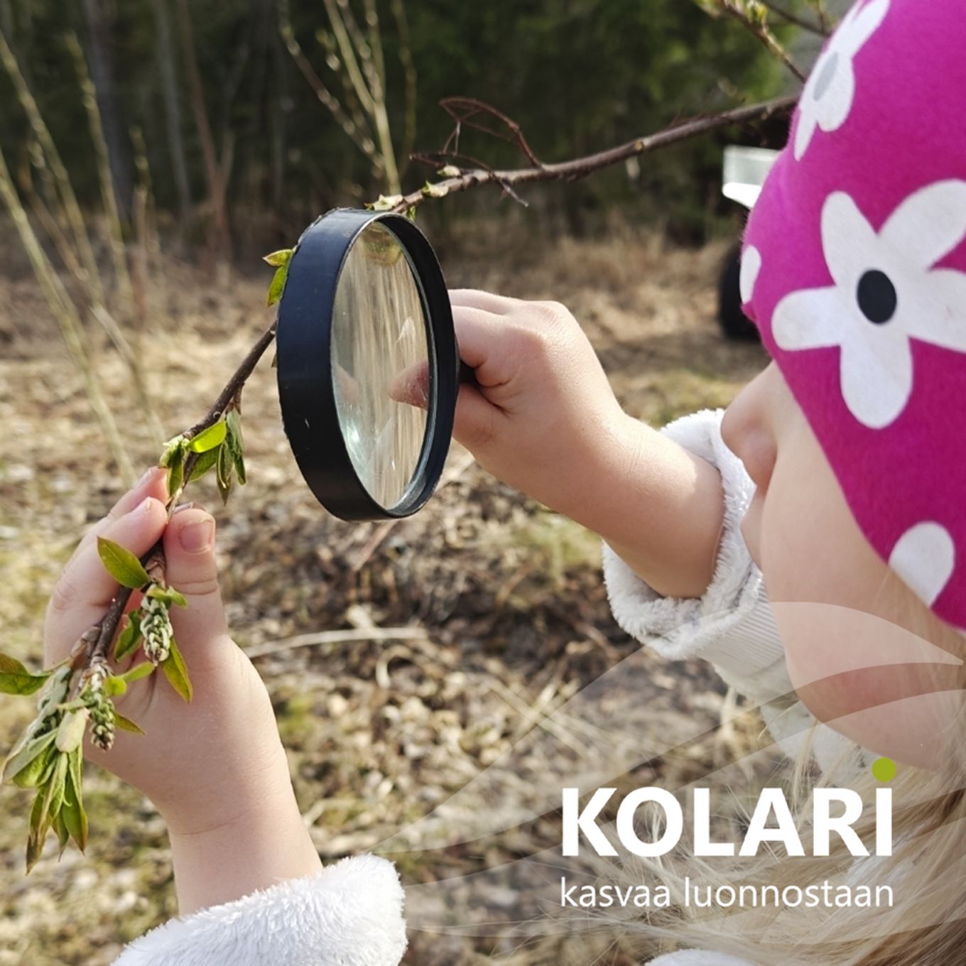 Lapsi tutkii oksaa suurennuslasilla ulkona keväisessä maastossa. Oksassa on vihreitä silmuja, ja taustalla näkyy ruskeaa kuivaa heinikkoa. Lapsella on päässään pinkki pipo, jossa on valkoisia kukkakuvioita.