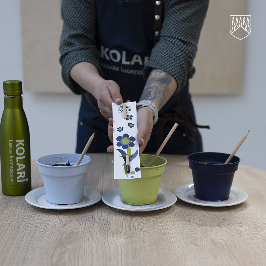 Henkilö pitää käsissään kukkakuviollista taimi- tai siemenkorttia pöydän ääressä. Pöydällä on kolme maalattua kukkaruukkua, jokaisessa sivellin ja alustana valkoinen lautanen. Vasemmalla on vihreä juomapullo, jossa lukee “KOLARI kasvaa luonnostaan”. Henkilöllä on tumma esiliina, jossa on sama teksti, ja taustalla näkyy vaalea seinäpinta.